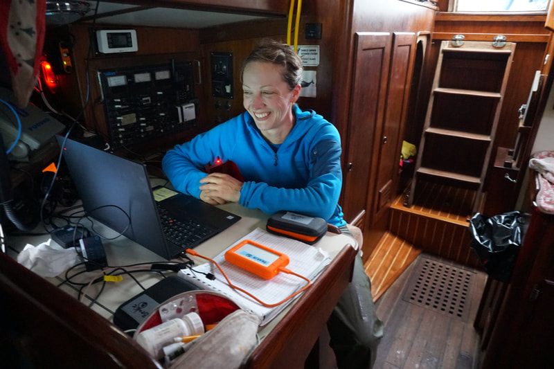 Monitoring the hydrophone onboard Balaena